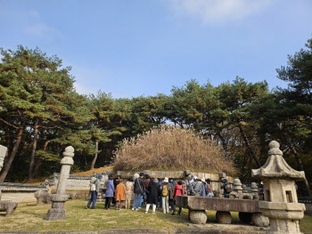 "억새 덮인 조선 태조 이성계 능에서 가을 만끽하세요"