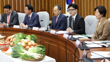 "농산물 최대 40%, 수산물 최대 50%" 민당정, 김장재료 할인 지원(상보)