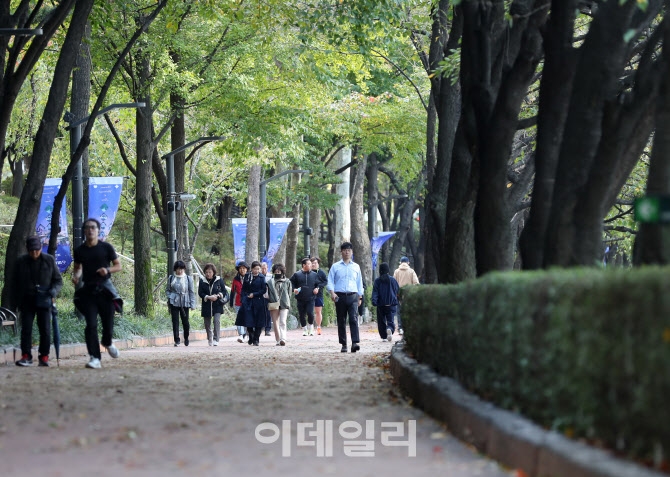 [포토] 오늘 절기상 '상강'