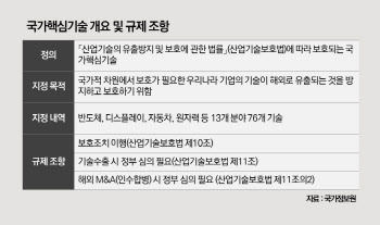 해외 매각 막는 ‘국가핵심기술’…M&A 안전판인가, 걸림돌인가