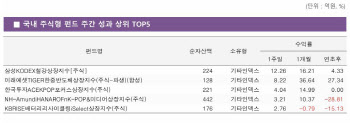 고려아연 덕분에…'불기둥' 세운 철강 ETF[펀드와치]