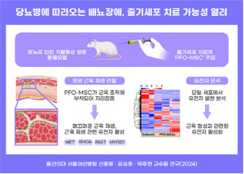 당뇨병에 따라오는 배뇨장애, 줄기세포 치료 가능성 열려