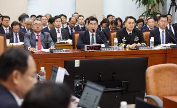 하상응 서강대 교수 "국감과 국조 하나로 통합해보자"