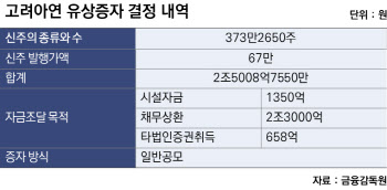 “이러려고 공개매수했나”…고려아연 ‘67만원 유증’에 뿔난 투자자[마켓인]