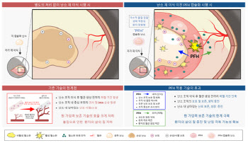 허혈성 손상 줄이는 혈소판 유래 생체재료 개발, 난소 이식 성공률 높여