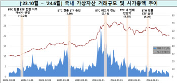 상반기 국내 가상자산 시총 55.3조원…작년 말보다 27%↑