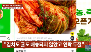 "김치가 너무 저렴"…초특가 '10kg 2만9900원' 샀다가 날벼락