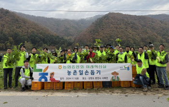 [포토] 농협 미래혁신실, 농촌일손돕기