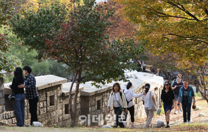 [포토]'산책하기 좋은 가을 길'