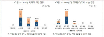 보험사 CEO들이 본 내년 경기 전망은…“소폭 악화”