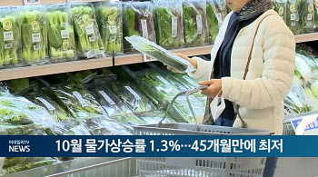 10월 물가상승률 1.3%...45개월만에 최저