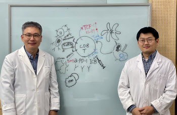 KAIST, 면역관문억제제 효능 높이는 기술 개발