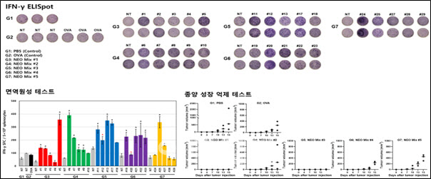 CG인바이츠 "AI 기반 항암백신 동물시험서 효과 입증"