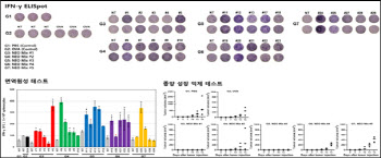 CG인바이츠 "AI 기반 항암백신 동물시험서 효과 입증"