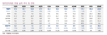 대주전자재료, 내년 실적·수주 모멘텀 유효…저가매수 기회 -키움