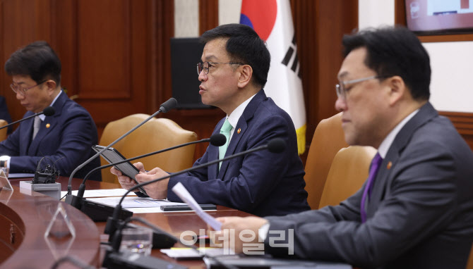 [포토]최상목 경제부총리 "과도한 변동성엔 적극 안정조치"