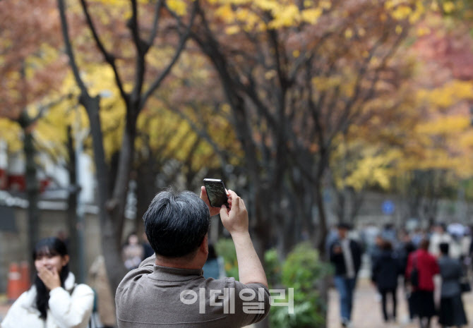 [포토] 사진 찍게 만드는 단풍