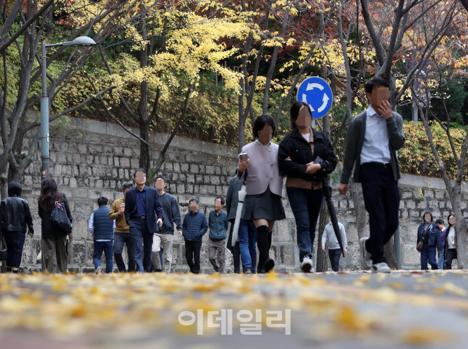 [포토] 걷고 싶은 낙엽길