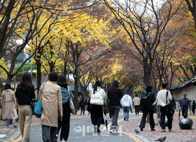 [포토] 가을을 즐기는 시민들