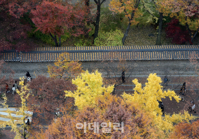 [포토] 가을 덕수궁 돌담길