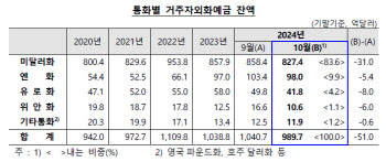 10월 환율 급등에…외화예금 다섯 달 만에 감소세