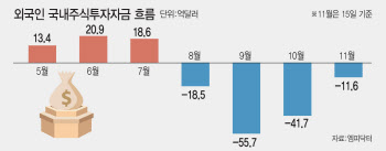 "외인 국장탈출 러시, 서학개미 美 투자 열풍…환율 부채질"