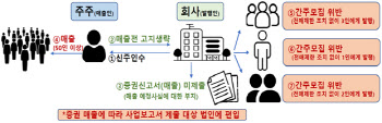 금감원 “비상장법인 주식 매출 따른 간주모집 규제 위반 빈번”