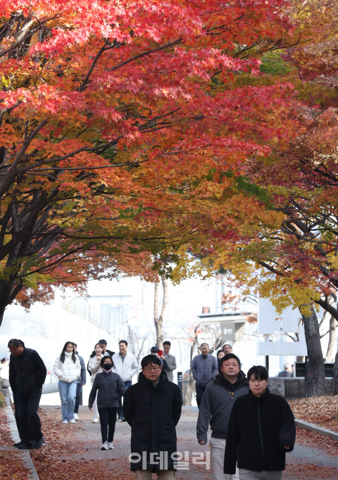 [포토]포근한 가을