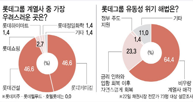 "롯데그룹 가장 걱정인 계열사는 케미칼과 건설"