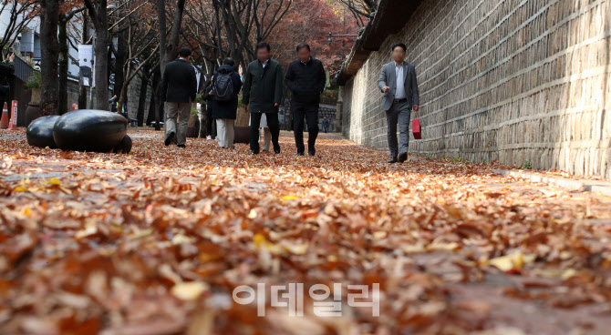 [포토]낙엽 쌓인 돌담길