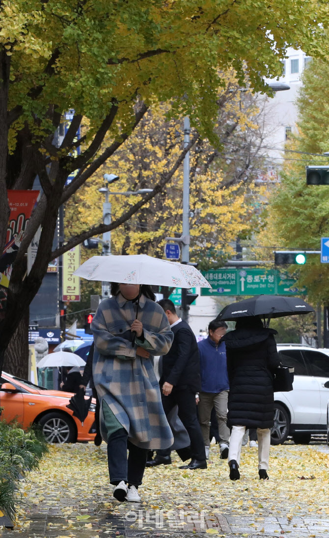 [포토]강풍에 우수수 떨어지는 낙엽들