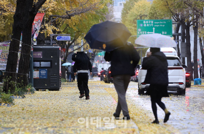 [포토]가을비에 떨어지는 낙엽들