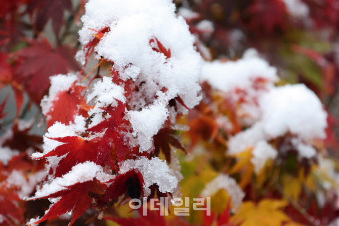 [포토]'가을 지나고 겨울'