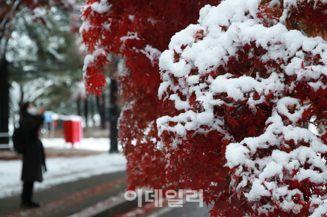 [포토]'가을 지나고 찾아온 겨울'