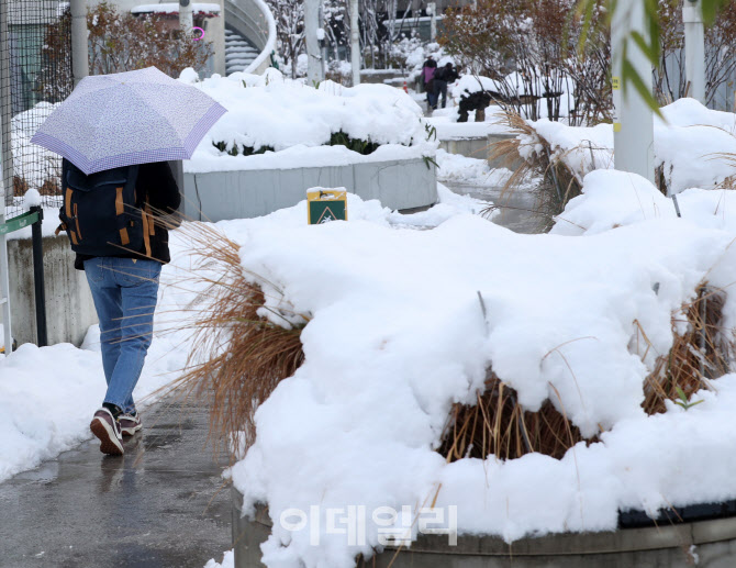 [포토] 이틀 연속 폭설