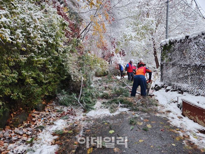 [포토] 습기 품은 눈의 횡포