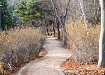 파주시, 월롱면에 맨발산책로 조성…올해만 9개 신설