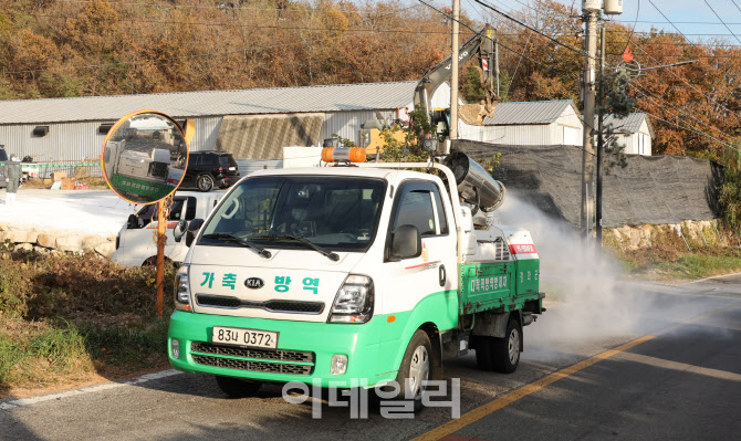 세종시 산란계 농장서 조류인플루엔자 발생…23만 마리 살처분