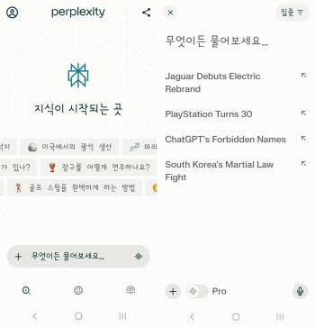 '퍼플렉시티'에 물었다…"비상계엄 후폭풍은 뭘까?"