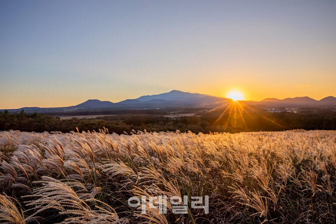 "제주 오름 여행 어때요?"…해비치 호텔 '비 더 오르머!' 패키지