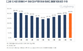 서울 9억 이하 중소형 아파트, 거래 비중 절반 넘어