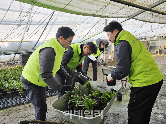 [포토] 폭설 피해복구하는 농협 교육지원부문 임직원들