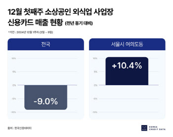 계엄 여파에 사업장들 적자인데…‘이 지역’ 카드 매출만 쑥↑