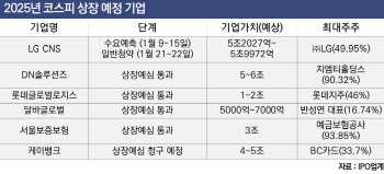 을사년 상장 도전하는 ‘대어급’ 기업, 어디