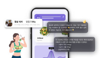 크라우드웍스, '다이어트 코칭 AI' 개발... "267조 AI 헬스케어 시장 정조준"