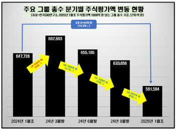 찬바람 韓 증시…주요 그룹 총수들 주식재산 1년새 6.6조↓