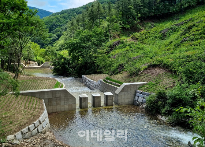 경기도, 산불·산사태 산림재해 예방·대응에 486억원 투입