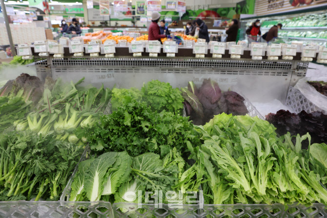 [포토]이상기상에 작황부진…겨울채소값 ‘껑충’