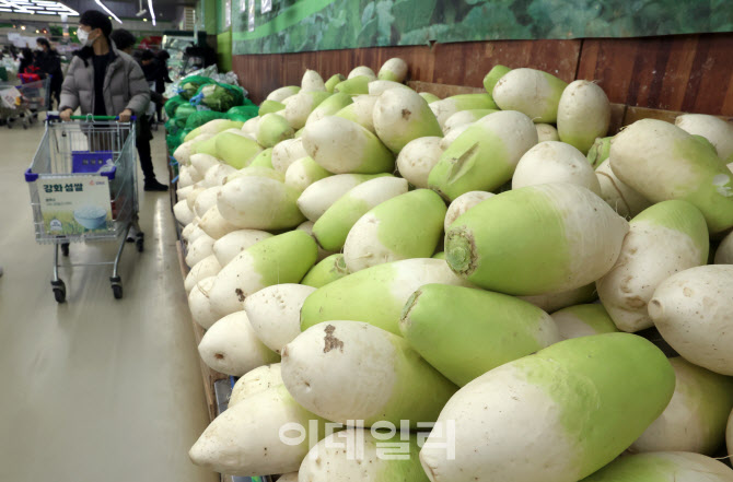 [포토]물가 상승세 둔화 속 채소값 고공행진