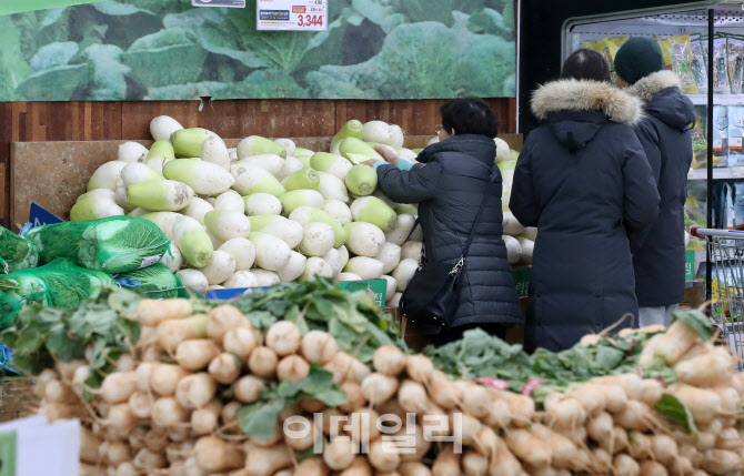 [포토]설 명절 앞두고 채소값 폭등…배추 59%·무 77%↑